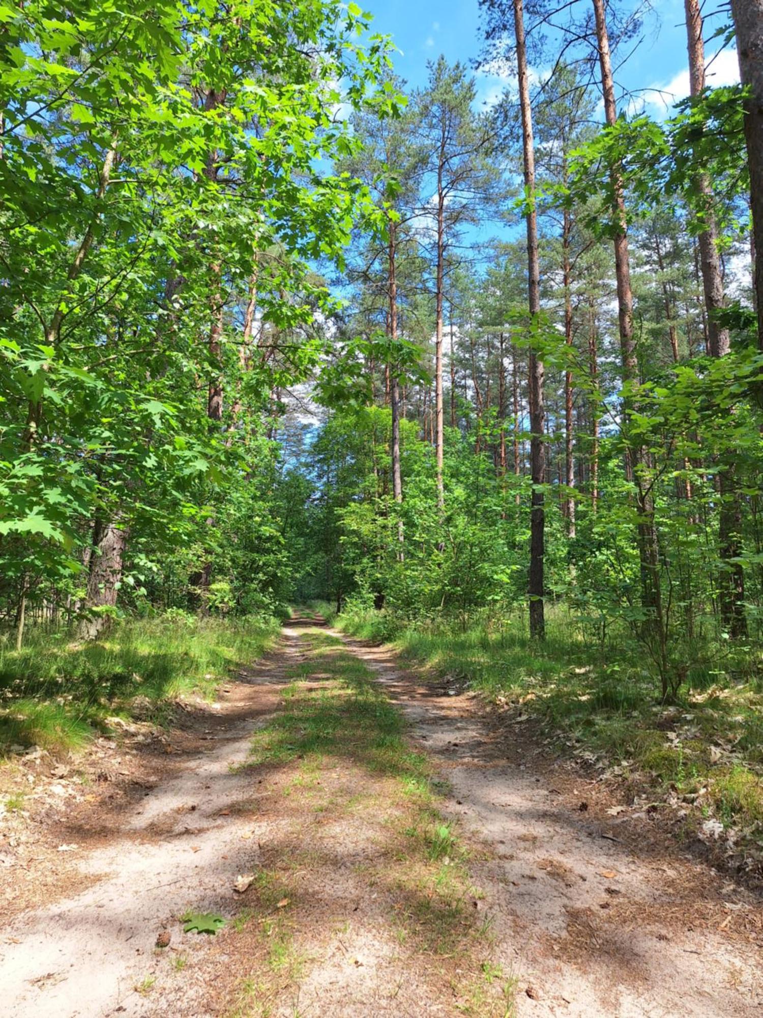 Leilighet Nad Krutynia